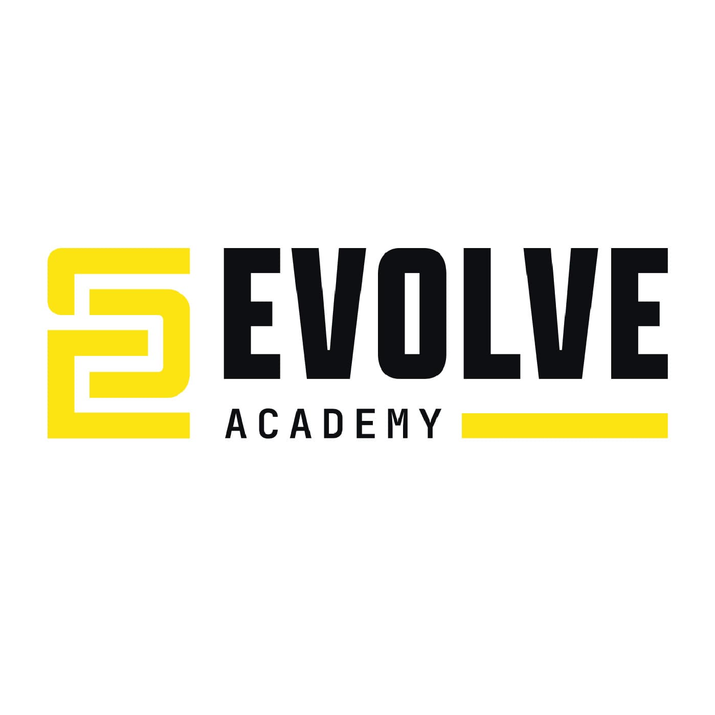 Evolve Security Academy Logo