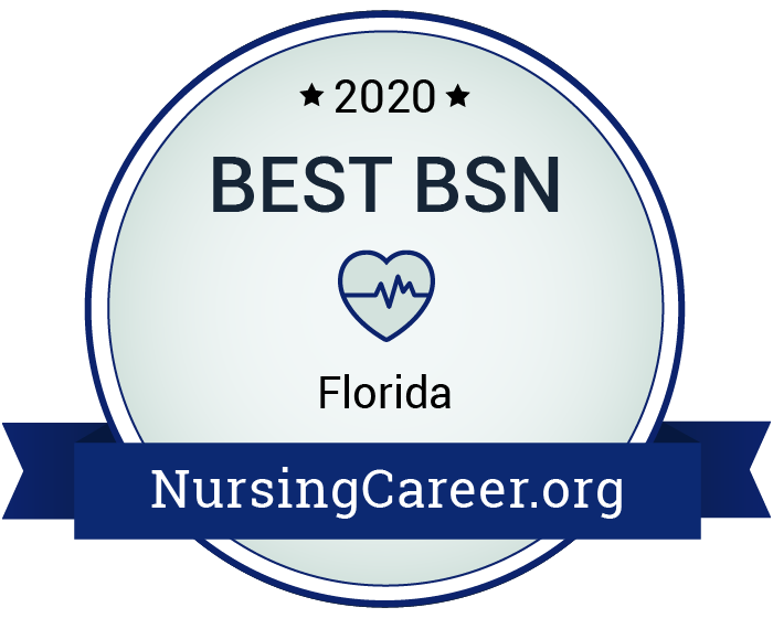 2020 Best Nursing Schools In Florida BSN   Original 