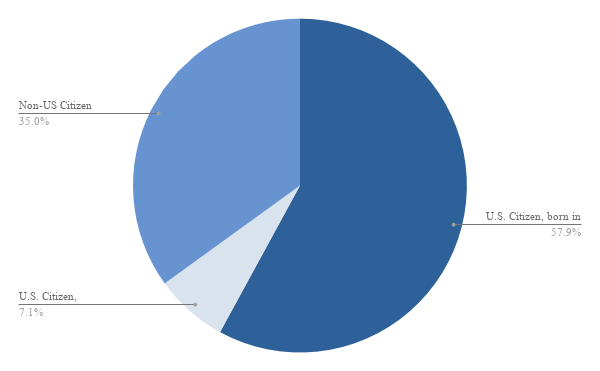 citizenship pie chart