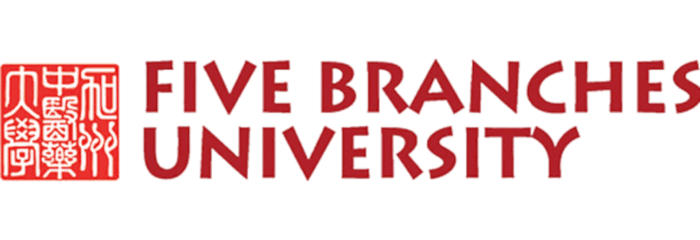 Five Branches University