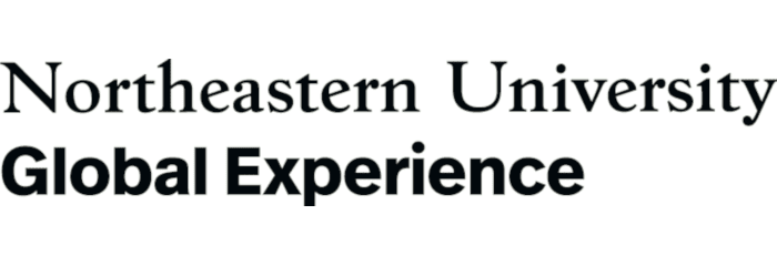 Northeastern University Global Network logo
