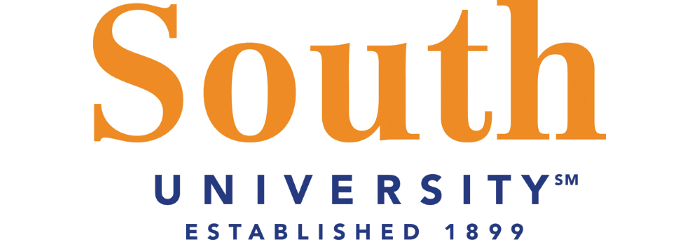 South University-High Point